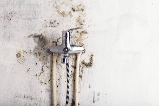 Best Mold Cleaning Services  in Berlin, WI