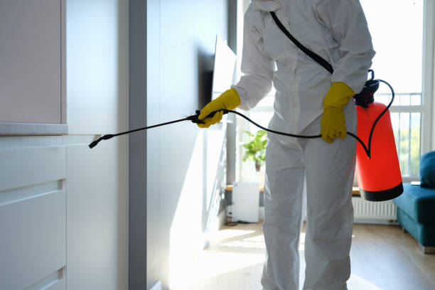 Best Toxic Mold Removal  in Berlin, WI