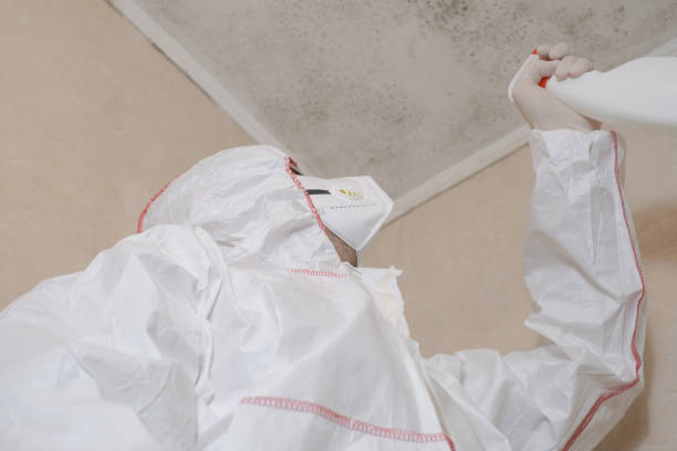 Best Toxic Mold Removal  in Berlin, WI